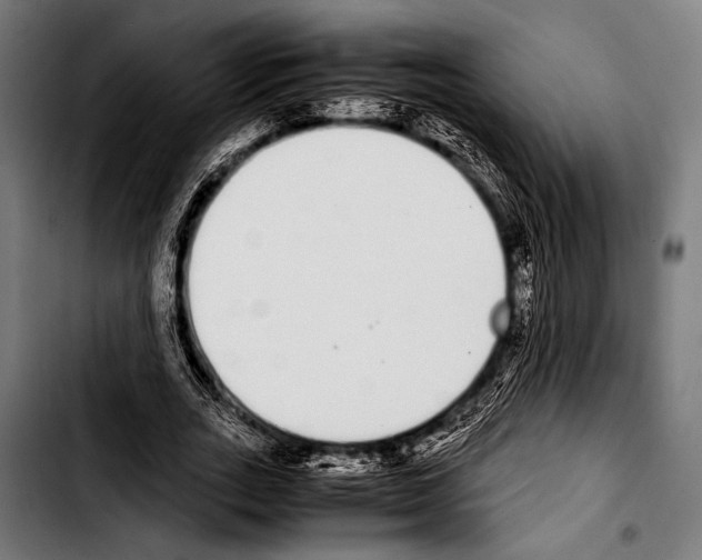 X0000103330727200810171423