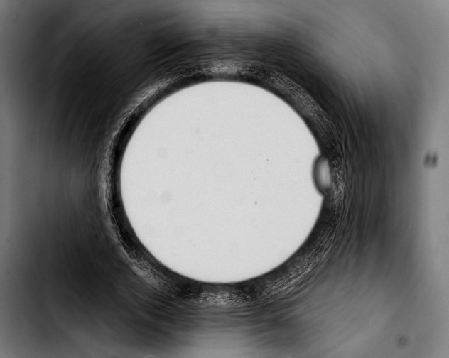 X0000103330728200810171423