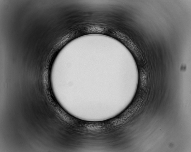 X0000103330729200810171423