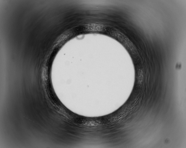 X0000103330731200810171423