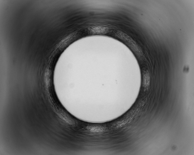 X0000103330733200810171423