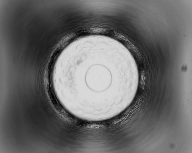 X0000103330734200810171423