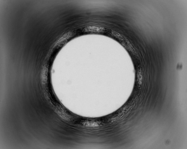 X0000103330735200810171423