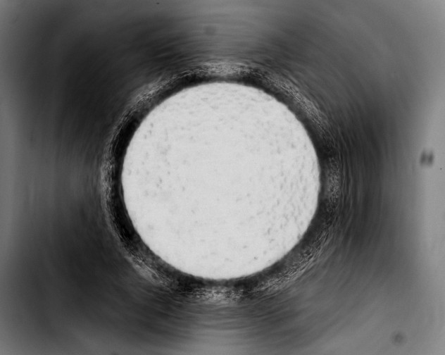 X0000103330736200810171423