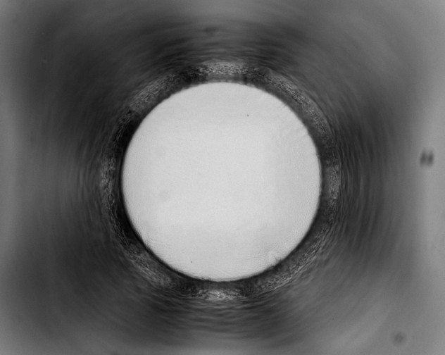 X0000103330737200810171423