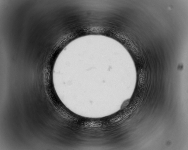 X0000103330739200810171424