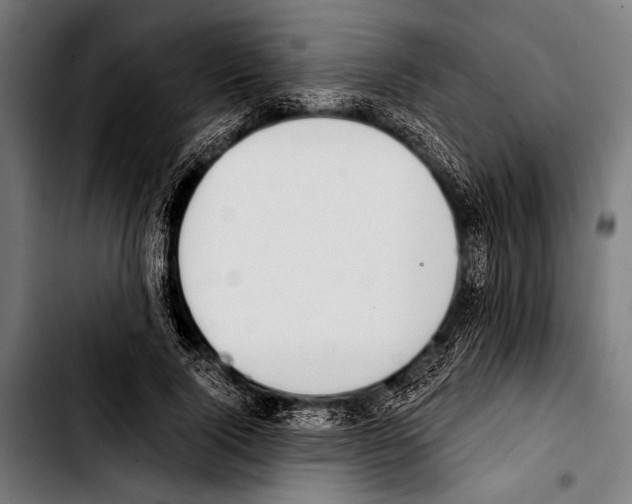 X0000103330740200810171424