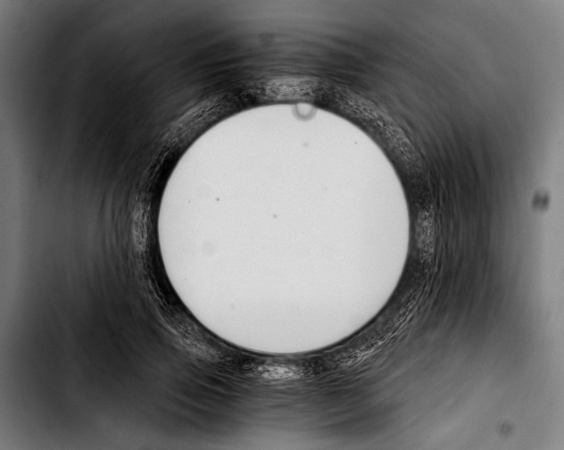 X0000103330741200810171424