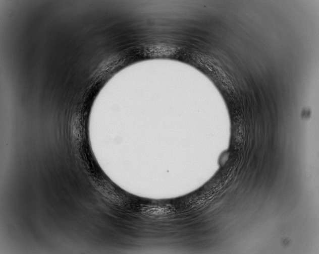 X0000103330743200810171424