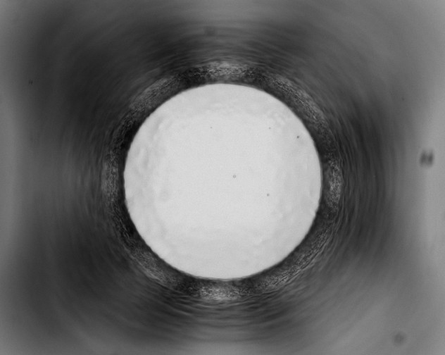 X0000103330745200810171424