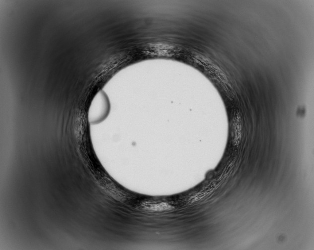 X0000103330747200810171424