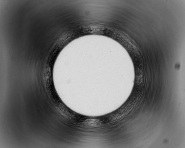 X0000103330748200810171424