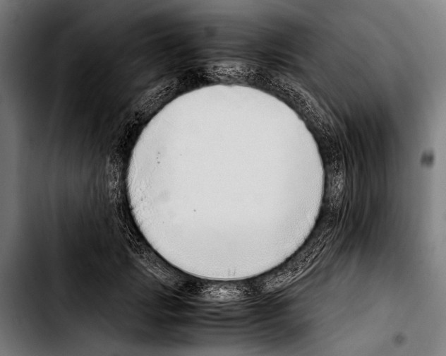 X0000103330749200810171424