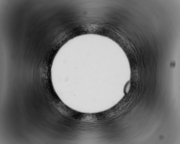 X0000103330750200810171424