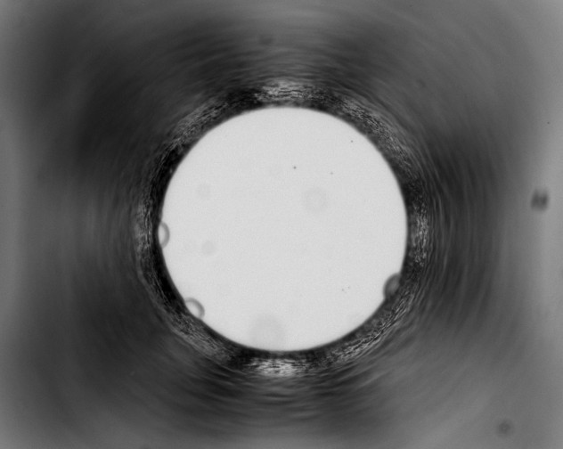 X0000103330751200810171424