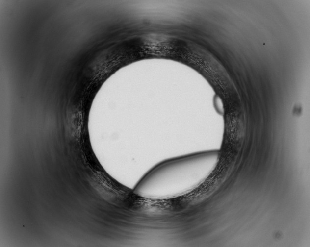 X0000103330752200810171424