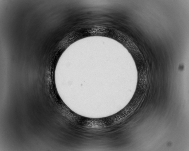 X0000103330755200810171424