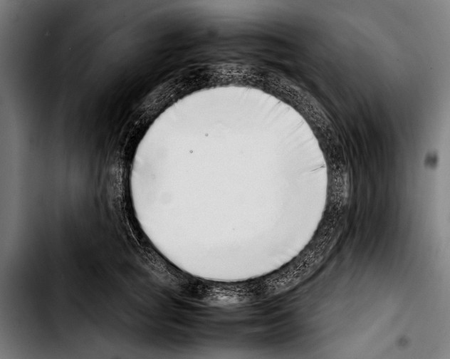 X0000103330757200810171424