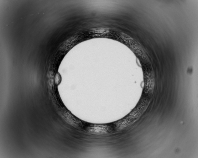 X0000103330758200810171424