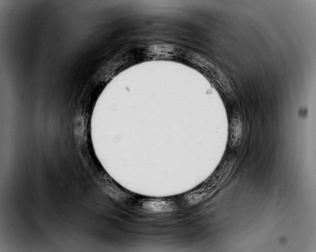 X0000103330759200810171424