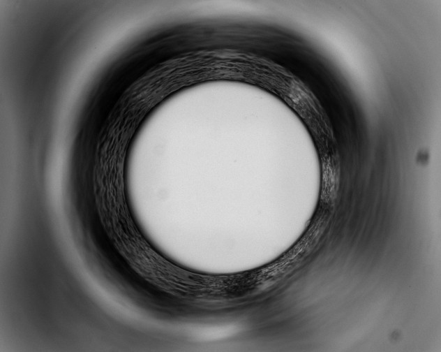 X0000103330765200810171424