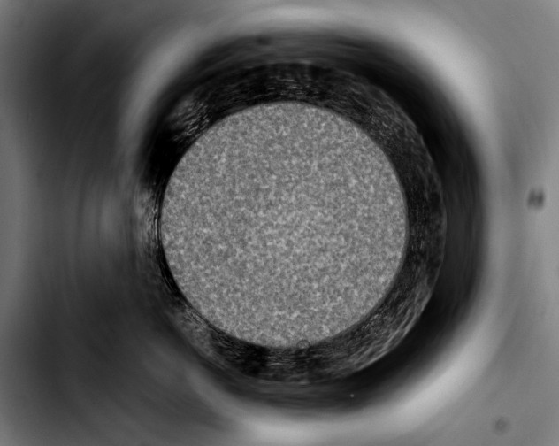 X0000103330766200810171424