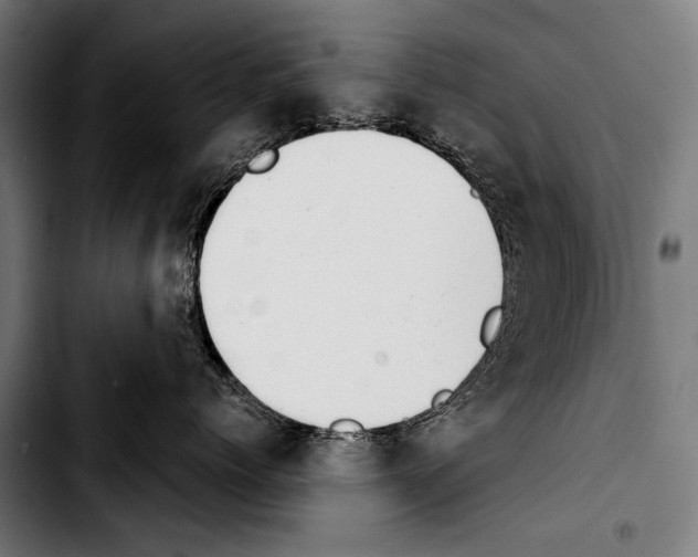 X0000103330768200810171424