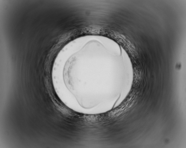 X0000103330769200810171423