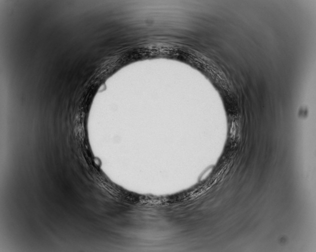 X0000103330771200810171423