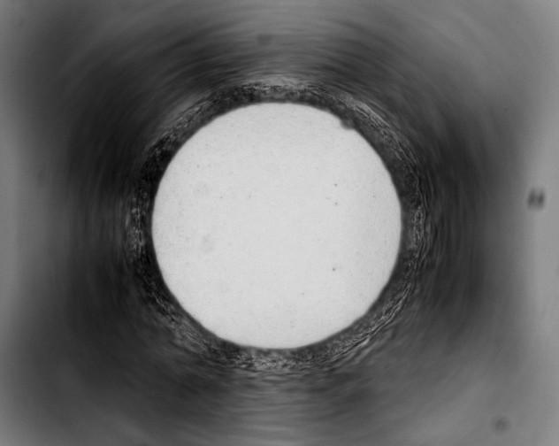 X0000103330774200810171423