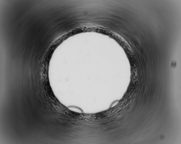 X0000103330775200810171423