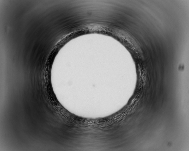 X0000103330776200810171423