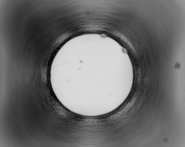 X0000103330777200810171423