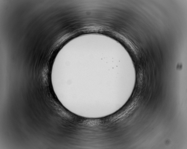 X0000103330778200810171423