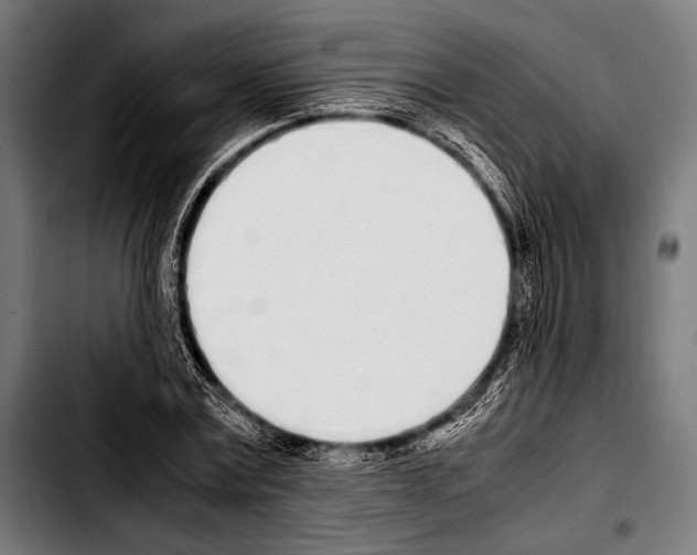 X0000103330779200810171423