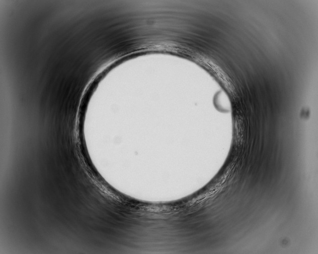 X0000103330780200810171423