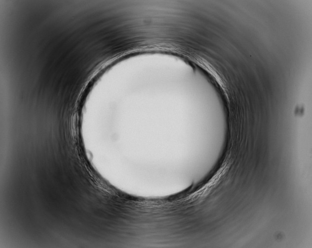 X0000103330781200810171423