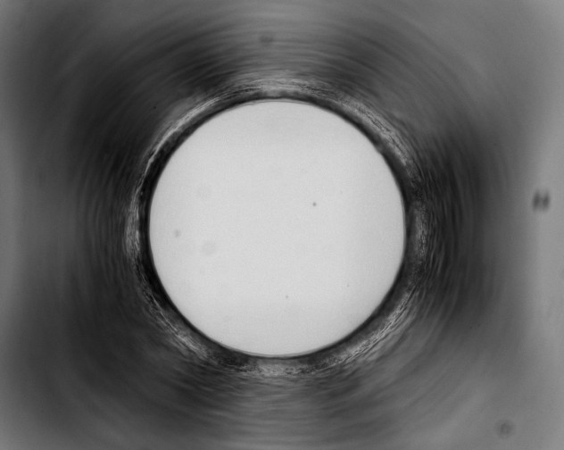 X0000103330782200810171423