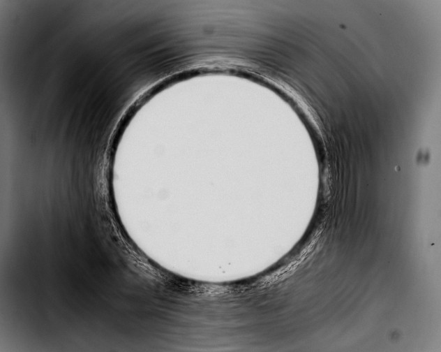 X0000103330783200810171423