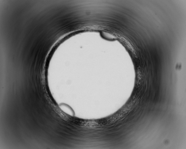 X0000103330784200810171423