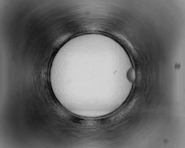 X0000103330785200810171423