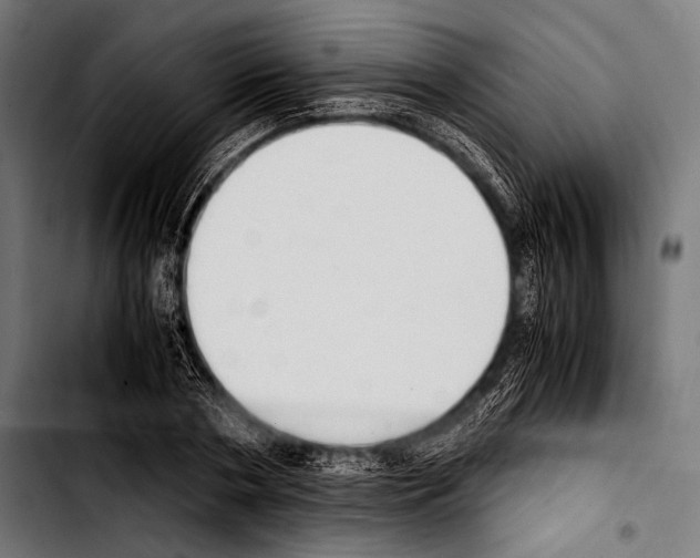 X0000103330786200810171423