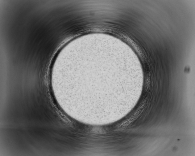 X0000103330787200810171423