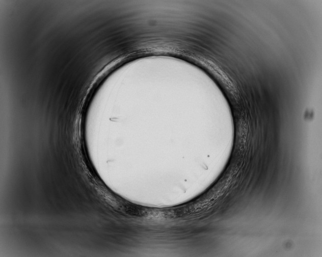 X0000103330790200810171423