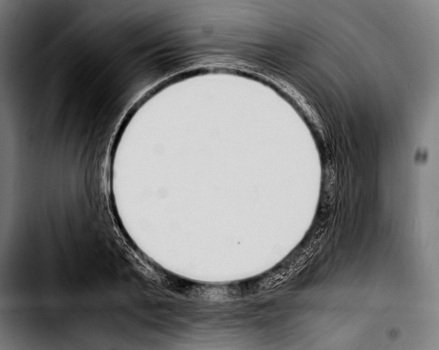 X0000103330791200810171423