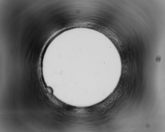 X0000103330792200810171423