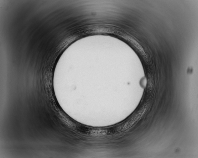 X0000103330793200810171423