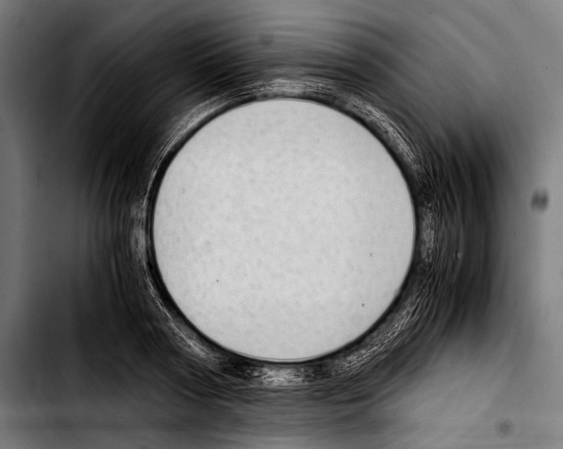 X0000103330794200810171423