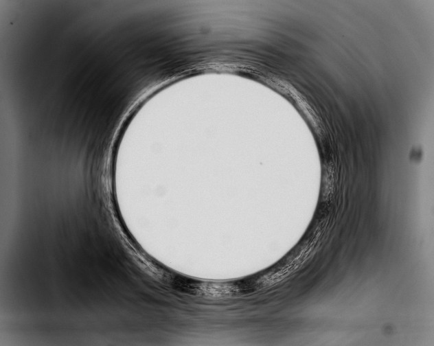 X0000103330795200810171423