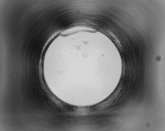 X0000103330796200810171423